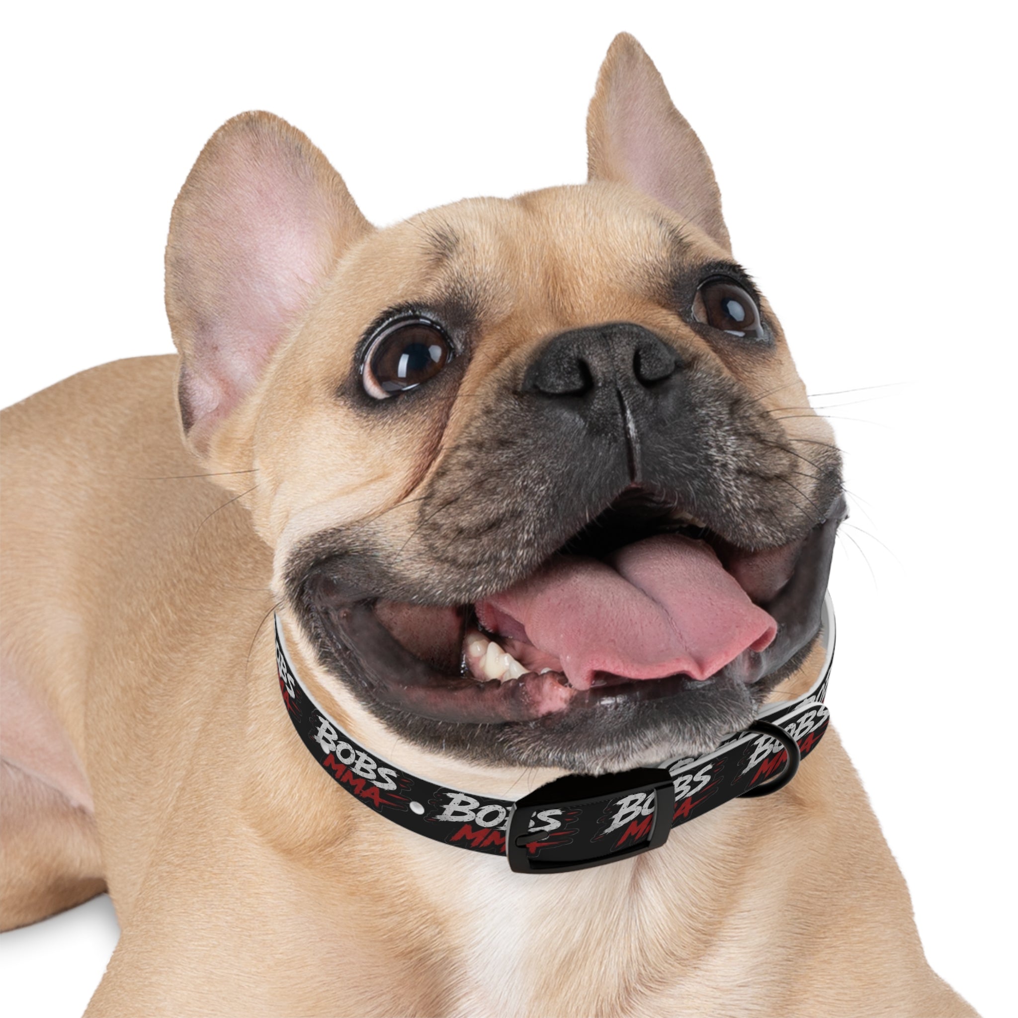 Dog Collar